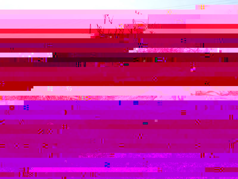 widly_kompostowe_2.jpg