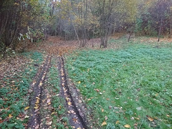 DSC_19911.jpg